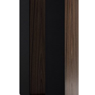 Enceintes Acoustic Energy AE120² baffle britannique AE trois voies colonne mince élégante noir laque walnut